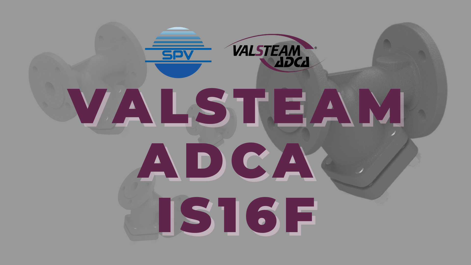 Lọc Y Valsteam ADCA IS16F