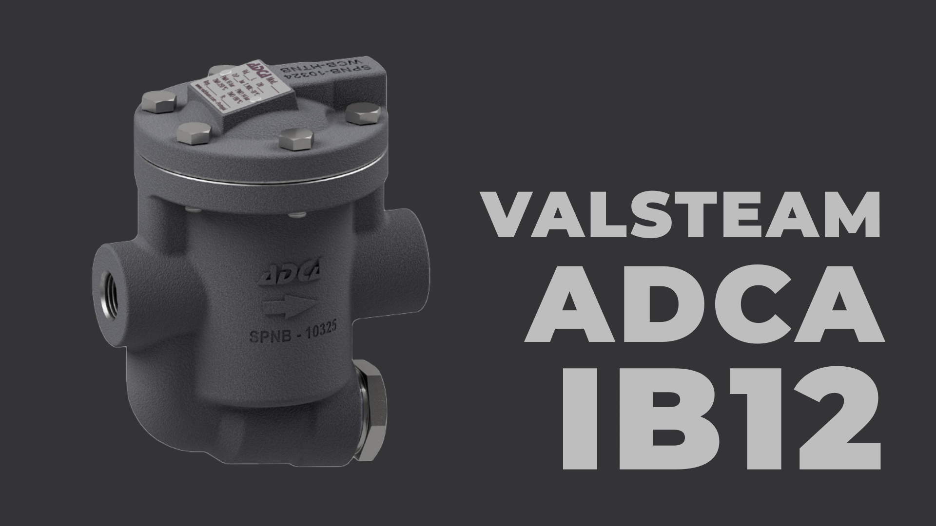 Khắc phục sự cố bẫy hơi gầu đảo Valsteam ADCA IB12