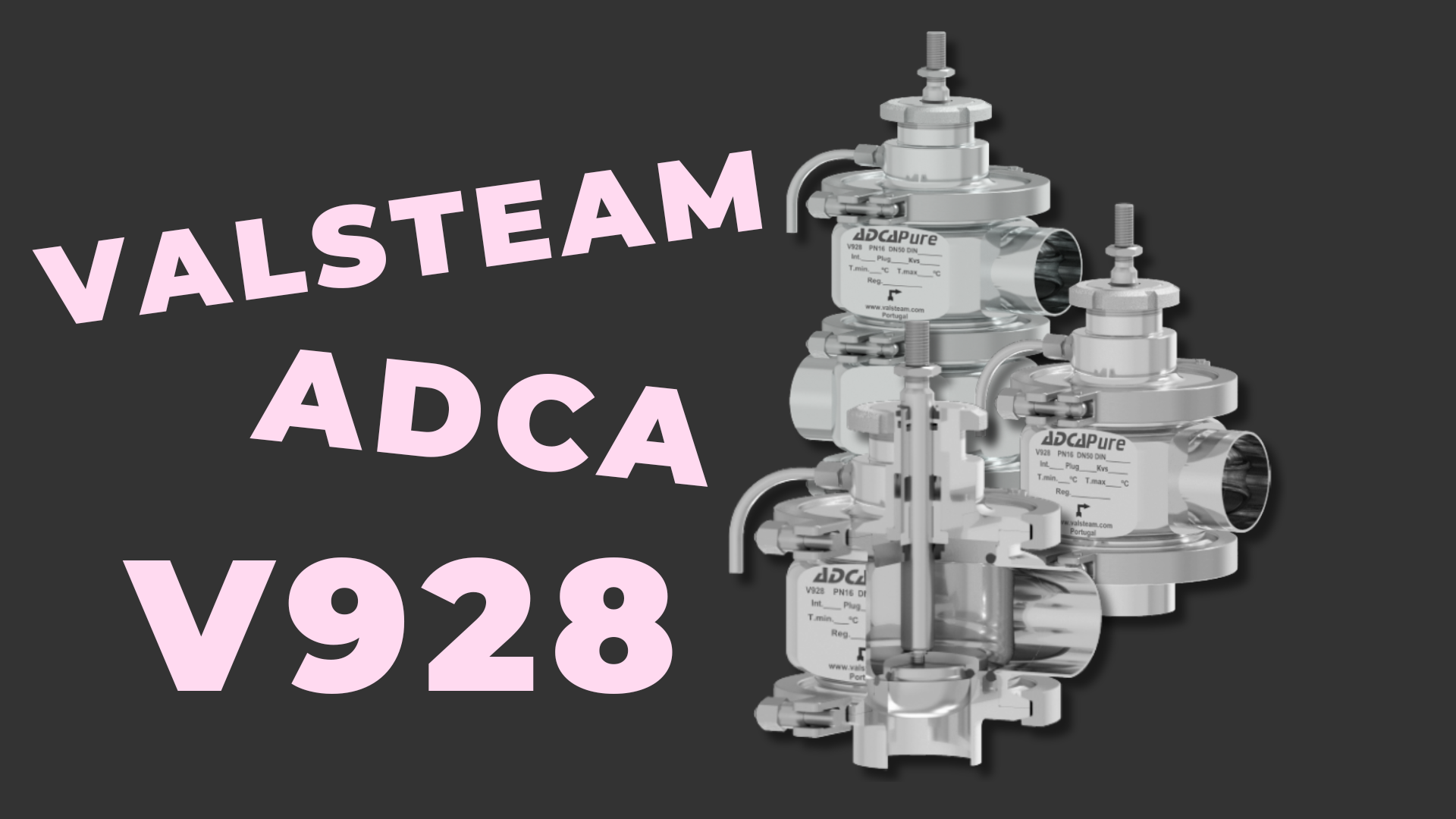 Van Điều Khiển Vi Sinh Hai Ngả Valsteam ADCA Pure V928