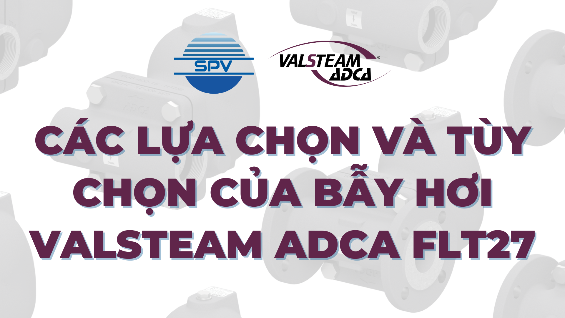 Các Lựa Chọn Và Tùy Chọn Của Bẫy Hơi Valsteam ADCA FLT27